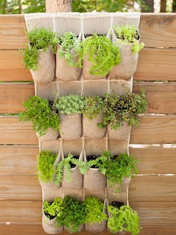 14-crazy-cool-vertical-gardening-ideas4