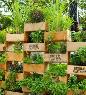 14-crazy-cool-vertical-gardening-ideas5