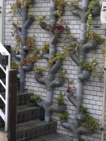 14-crazy-cool-vertical-gardening-ideas7