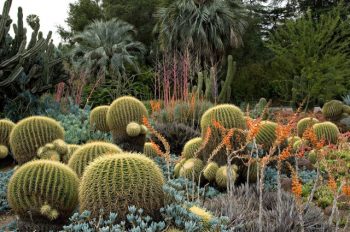 5 Beautiful Botanical Gardens Everyone Should Visit ~ Bless My Weeds