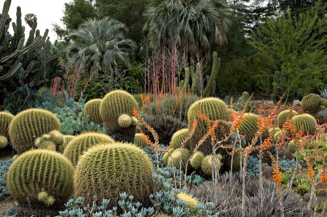 5 Beautiful Botanical Gardens Everyone Should Visit ~ Bless My Weeds