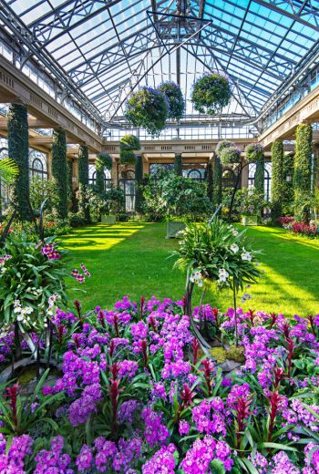 5 Beautiful Botanical Gardens Everyone Should Visit ~ Bless My Weeds