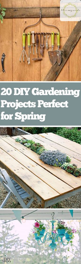 20 DIY Gardening Projects Perfect for Spring ~ Bless My Weeds