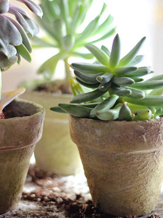 9 Ways to Transform Terra Cotta Pots ~ Bless My Weeds