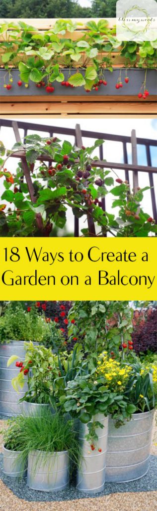 Gardening, How to Garden in Small Spaces, Balcony Gardens, Small Space Gardening Tips, How to Grow a Garden on a Balcony, Gardening 101, Gardening Tips and Tricks, Gardening In Apartments, Apartment Gardening, Popular Pin 