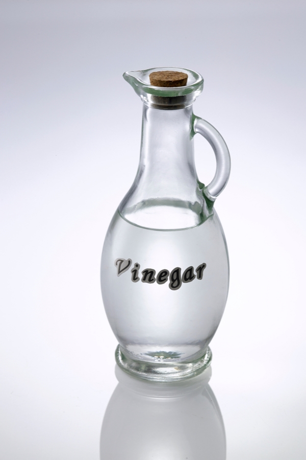 Vinegar will save your garden