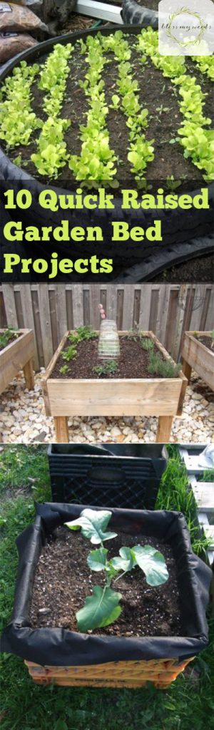 Raised Garden Beds, Easy to Build Raised Garden Beds, DIY Raised Garden Beds, DIY Outdoor Projects, Outdoor Projects, Gardening Projects, Quick Raised Garden Beds, How to Garden in A Raised Bed