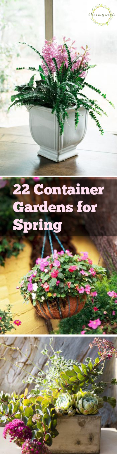 22 Container Gardens for Spring. Spring Gardening, Spring Gardening Tips and Tricks, Container Gardening for Spring, Spring Container Gardening, Container Gardening Ideas, Container Gardening Tips and Tricks, Gardening, Popular Gardening Pins, Easy Container Gardening