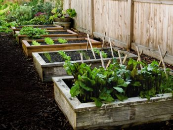 10 Quick Raised Garden Bed Projects ~ Bless My Weeds