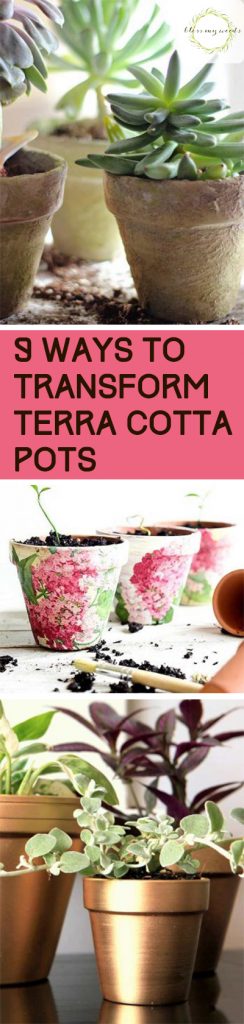 Terra Cotta Pots, Painting Terra Cotta Pots, Terra Cotta Pots, Terra Cotta Pot Crafts, Crafts, Easy Crafts, Simple Crafts, Gardening Projects, Upcycling Projects, Upcycling Projects for the Garden, Gardening, Gardening DIY, DIY Gardening Tips, Popular Pin