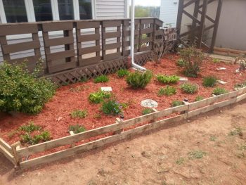 Lawn Edging| Lawn Edging DIY Projects, DIY Projects, Cheap DIY Projects, Lawn Edging Ideas, Outdoor DIY Projects, Simple DIY Projects, Outdoor Living