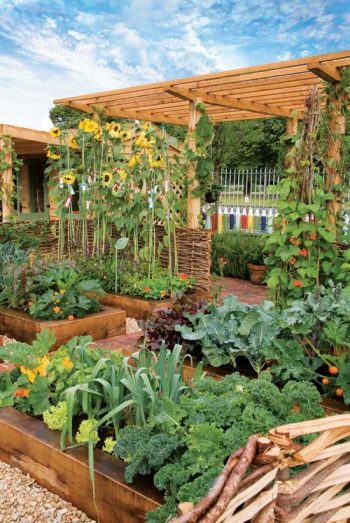 Organic Gardening, Organic Gardening Tips and Tricks, How to Start Organic Gardening, Organic Gardening for Beginners, How to Start Vegetable Gardening, Vegetable Gardening Tips and Tricks, Gardening, Gardening Hacks, Popular Pin