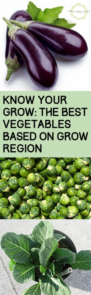 Know Your Grow: Vegetables to Grow Based on Region. Gardening, Gardening Tips and Tricks, Gardening 101, Gardening Hacks, Vegetable Gardening, Vegetable Gardening Tips