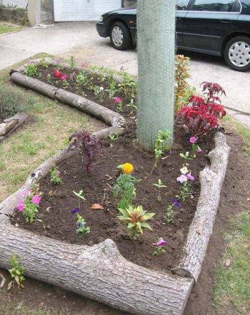 Lawn Edging| Lawn Edging DIY Projects, DIY Projects, Cheap DIY Projects, Lawn Edging Ideas, Outdoor DIY Projects, Simple DIY Projects, Outdoor Living