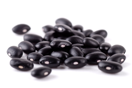 How to Grow Black Beans, Growing Black Beans, Gardening Black Beans, How to Garden Black Beans, How to Care for Black Beans, Gardening, Gardening Tips and Tricks, Gardening Hacks, Popular Pin