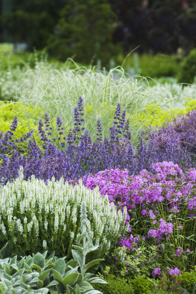 10 Homemade (and Safer!) Weed Killers That ACTUALLY Work ~ Bless My Weeds