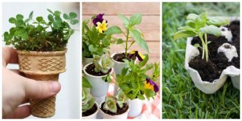 9 Things to Know About Kitchen Gardening| Kitchen Garden, Kitchen Gardening, Gardening Hacks, Gardening 101, Garden In Your Kitchen, Indoor Gardening, Indoor Gardening Tips and Tricks, Indoor Gardening Hacks, Gardening Hacks, Garden 101, Popular Pin 