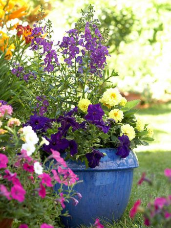 Tips for Designing With Color in Your Garden - Garden Design, Designing With Color In Your Garden, Gardening, Gardening Tips and Tricks, Garden 101, Gardening Hacks, Popular Pin