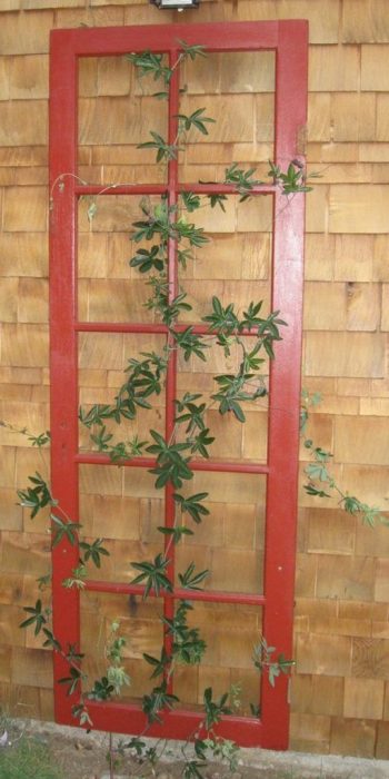 10 DIY Trellis Ideas - DIY Garden Trellis, Garden Trellis Ideas, Gardening Trellis Projects, Outdoor Projects, Outdoor DIY Projects, Handmade Garden Trellis, DIY Garden Stuff, Popular Pin