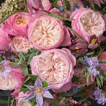 Grow English Roses: Here's How! - Growing Roses, How to Grow Roses, Grow Your Own English Roses, How to Grow Your Own English Roses, Gardening, Gardening Tips and Tricks, Gardening Hacks, Gardening 101, How to Care for English Roses.