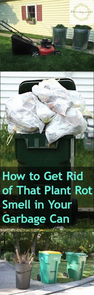 How to Get Rid of That "Plant Rot" Smell in Your Garbage Can - Clean Your Garbage Can, How to Clean Your Garbage Can, Get Rid of Plant Rot Smell, How to Get Rid of the Rotting Plant Smell In Your Trashcan, Trashcan Hacks, Cleaning, Outdoor Cleaning Tips and Tricks, Popular Pin