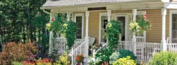 12 Foundation-Friendly Plants - Foundation Friendly Plants, Plants for Your Foundation, Curb Appeal Projects, Plants That Dress Up Your Foundation, Flowers for Curb Appeal, Popular Pin 