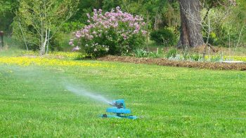 Grass-Growing Tips for Shady Areas of Your Yard - Grass Growing Tips, How to Grow Grass, Shady Lawn Care Tips, How to Grow Grass In Shady Areas, Gardening, Gardening and Landscape, Lanscaping TIps and Tricks, Popular Pin 