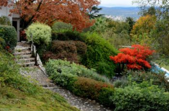 Plants to Grow On a Sloped Landscape - Plants for Sloped Yards, Plants for a Sloped Lawn, How to Landscape A Sloped Lawn, Gardening, Gardening Hacks, Landscaping, Landscaping Tips and Tricks, Popular Pin 