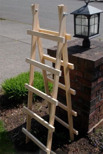 10 DIY Trellis Ideas - DIY Garden Trellis, Garden Trellis Ideas, Gardening Trellis Projects, Outdoor Projects, Outdoor DIY Projects, Handmade Garden Trellis, DIY Garden Stuff, Popular Pin