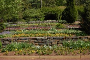 Plants to Grow On a Sloped Landscape - Plants for Sloped Yards, Plants for a Sloped Lawn, How to Landscape A Sloped Lawn, Gardening, Gardening Hacks, Landscaping, Landscaping Tips and Tricks, Popular Pin 