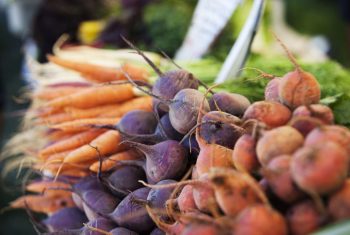 How to Grow the Best Root Veggies - Growing Root Vegetables, Easy to Grow Root Vegetables, How to Grow Root Vegetables, Vegetable Gardening TIps and Tricks, Vegetable Gardening Hacks, Vegetable Gardening Tips and Tricks, Popular Pin 