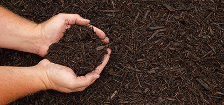 How to Use Mulch to Manage Your Soil - Using Mulch, How to Use Mulch, Managing Soil, Manage Your Soil With Mulch, Landscaping, Landscaping Tips and Tricks, Gardening, Gardening Hacks.