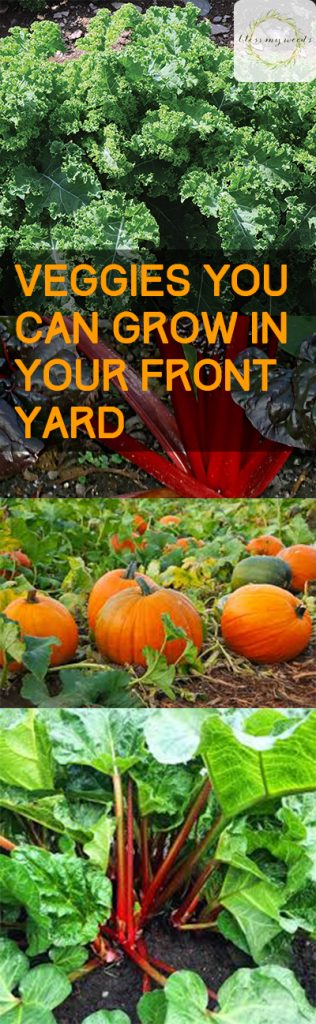 Veggies You Can Grow in Your Front Yard - Vegetable Garden, Vegetable Gardening, How to Grow Vegetables In Your Front Yard, Front Yard Gardening, Gardening Hacks, Gardening 101, Popular Pin