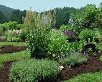 How to Use Mulch to Manage Your Soil - Using Mulch, How to Use Mulch, Managing Soil, Manage Your Soil With Mulch, Landscaping, Landscaping Tips and Tricks, Gardening, Gardening Hacks.