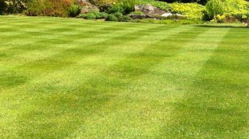How to Care for Your Lawn in the Fall for Maximum Spring Growth - Lawn Care, Lawn Care Tips and Tricks, How to Care for Your Lawn, Caring for Your Lawn, Garden and Landscape, Landscaping Tips and Tricks, Popular Pin 