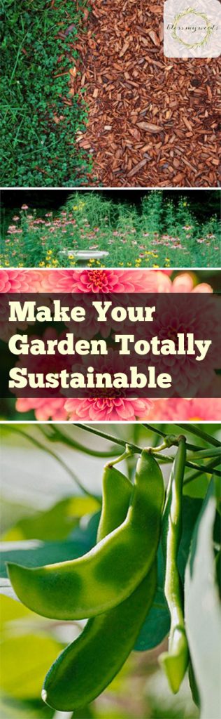 Make Your Garden Totally Sustainable - Gardening, Gardening Hacks, Gardening 101, How to Make Your Garden Sustainable, Sustainable Gardening, Gardening Tips and Tricks