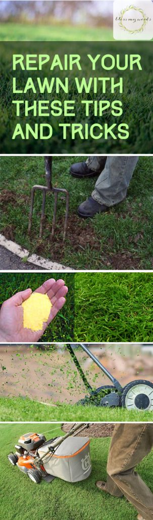 Repair Your Lawn With These Tips and Tricks - How to Repair Your Lawn, Lawn Repair Hacks, Gardening, Gardening Tips and Tricks, Landscaping Hacks, Landscaping 101