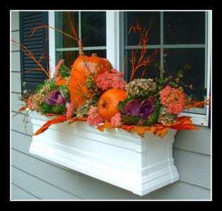 Ideas for a Winter Window Box ~ Bless My Weeds