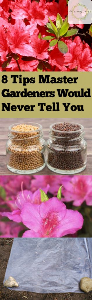 8 Tips Master Gardeners Would Never Tell You - Bless My Weeds| Master Gardeners Tips, Master Gardening, Master Gardener Tips, How to Be A Master Gardener, Indoor Gardening, Indoor Gardening Hacks, Master Gardener, Gardening Tips and Tricks for Beginners, Popular Pin