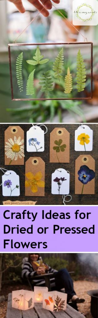 30 Beautiful Pressed Flower Crafts • Little Pine