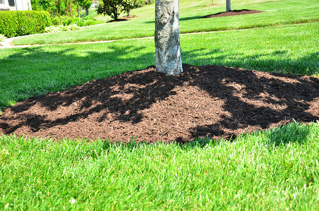 How to Get the Most Out of Your Mulch - Bless My Weeds| Mulch, Garden Mulch, How to Work With Garden Mulch, Gardening, Gardening Tips, Gardening Tricks #GardenMulch #Gardening #GardeningHacks #Mulch