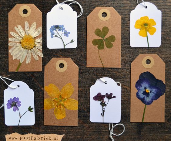 Wonderful Dried Flower Crafts for Kids 