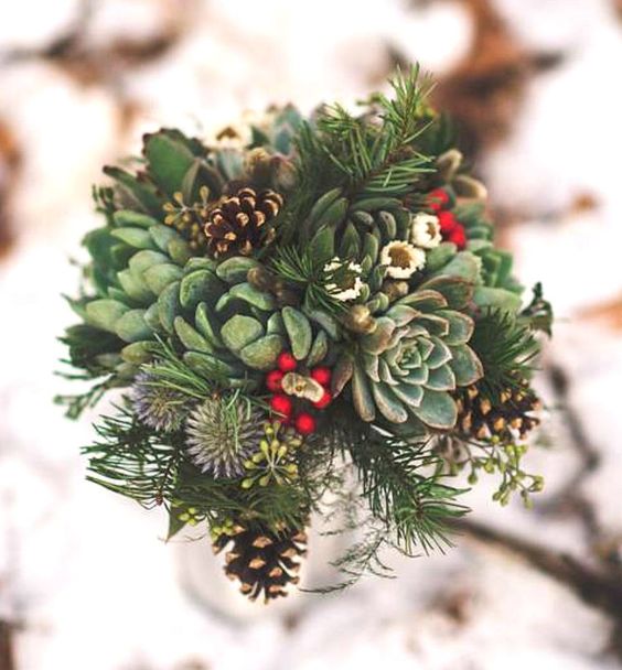 DIY Succulent Centerpieces for Winter - Bless My Weeds| Winter Centerpieces, Garden Crafts, Succulent Centerpieces, DIY Succulent Centerpieces, Winter DIYs, DIY Garden Crafts, Garden Crafts for Winter, Holiday Gardening Tips and Tricks, Popular Pin #Gardening #HolidayGardening #Succulents #DIYCenterpieces