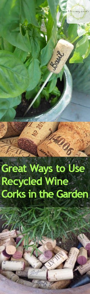 Great Ways to Use Recycled Wine Corks in the Garden - Bless My Weeds| Wine Corks, Wine Cork Crafts, Garden, Gardening Hacks, How to Reuse Recyled Wine Corks, Wine Cork Crafts for the Garden, Gardening Tips, Repurpose Projects #GardeningTips #WineCorkCrafts #RepurposeProjects