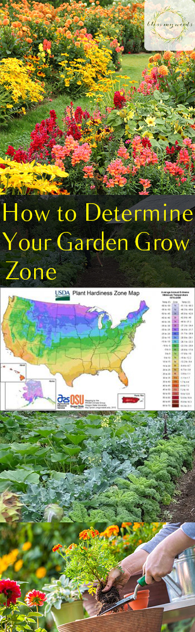 How to Determine Your Garden Grow Zone ~ Bless My Weeds