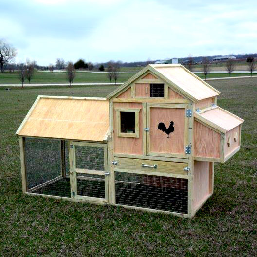 How to Care for Chickens in the Wintertime ~ Bless My Weeds