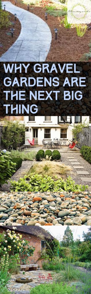 Why Gravel Gardens Are the Next Big Thing - Bless My Weeds| Gravel Gardening, Gravel Gardening Design, Garden Design, Gardening Tips and Tricks #Gardening #GravelGarden #GardenDesign