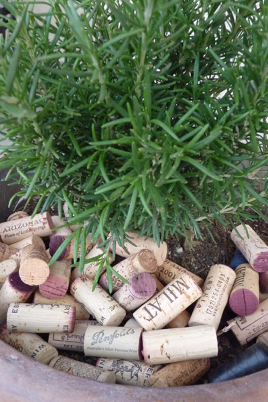 Great Ways to Use Recycled Wine Corks in the Garden - Bless My Weeds| Wine Corks, Wine Cork Crafts, Garden, Gardening Hacks, How to Reuse Recyled Wine Corks, Wine Cork Crafts for the Garden, Gardening Tips, Repurpose Projects #GardeningTips #WineCorkCrafts #RepurposeProjects