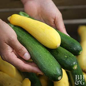 Gardening Guide: Summer Squash - Bless My Weeds | Growing Summer Squash, Vegetable Gardening, Vegetable Gardening for Beginners, Gardening, Gardening Tips, Gardening Ideas, Vegetable Garden