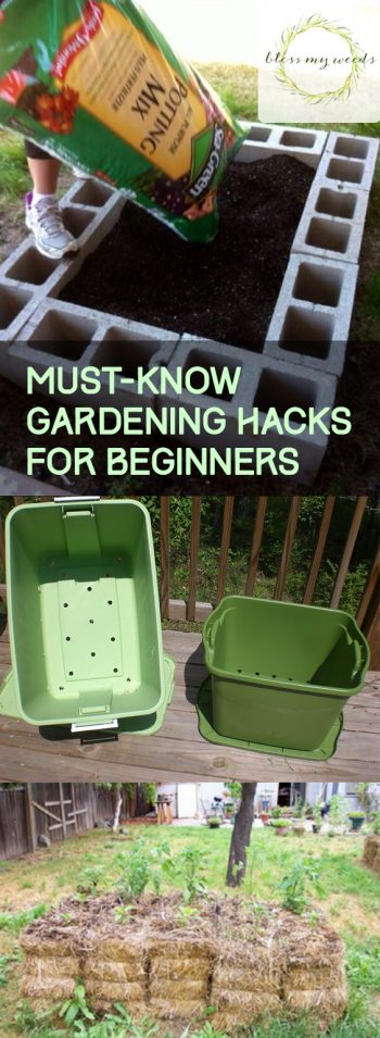 Must-Know Gardening Hacks for Beginners - Bless My Weeds| Gardening for Beginners, Gardening Hacks, Gardening Ideas, Garden Ideas, Front Garden Ideas, Garden Design, Garden Design Ideas